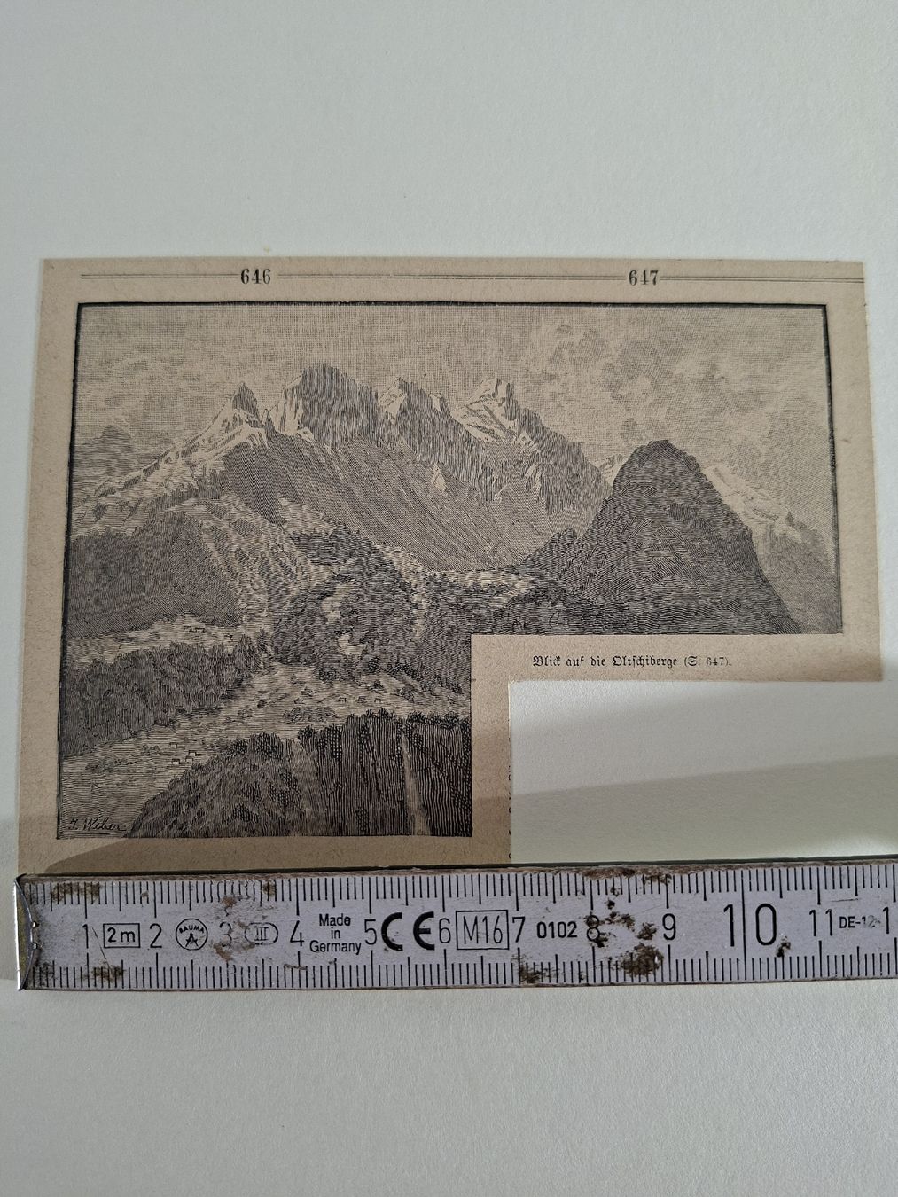 Incisioni: Lot 48 , 10 Stiche  – Usato da Grindelwald venduto da carro5 7