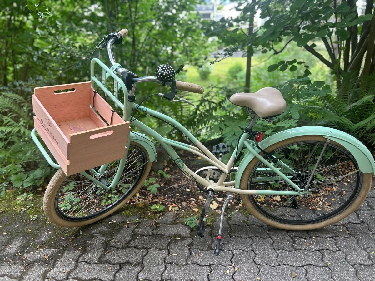 Velos: Schönes Retro Velo – Gebraucht aus Meilen von Monkey2010 1