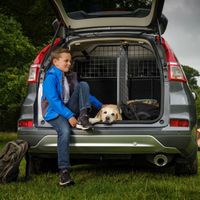 Audi E-tron SUV Hundegitter + Trenngitter Set (ab Bj 2019)
