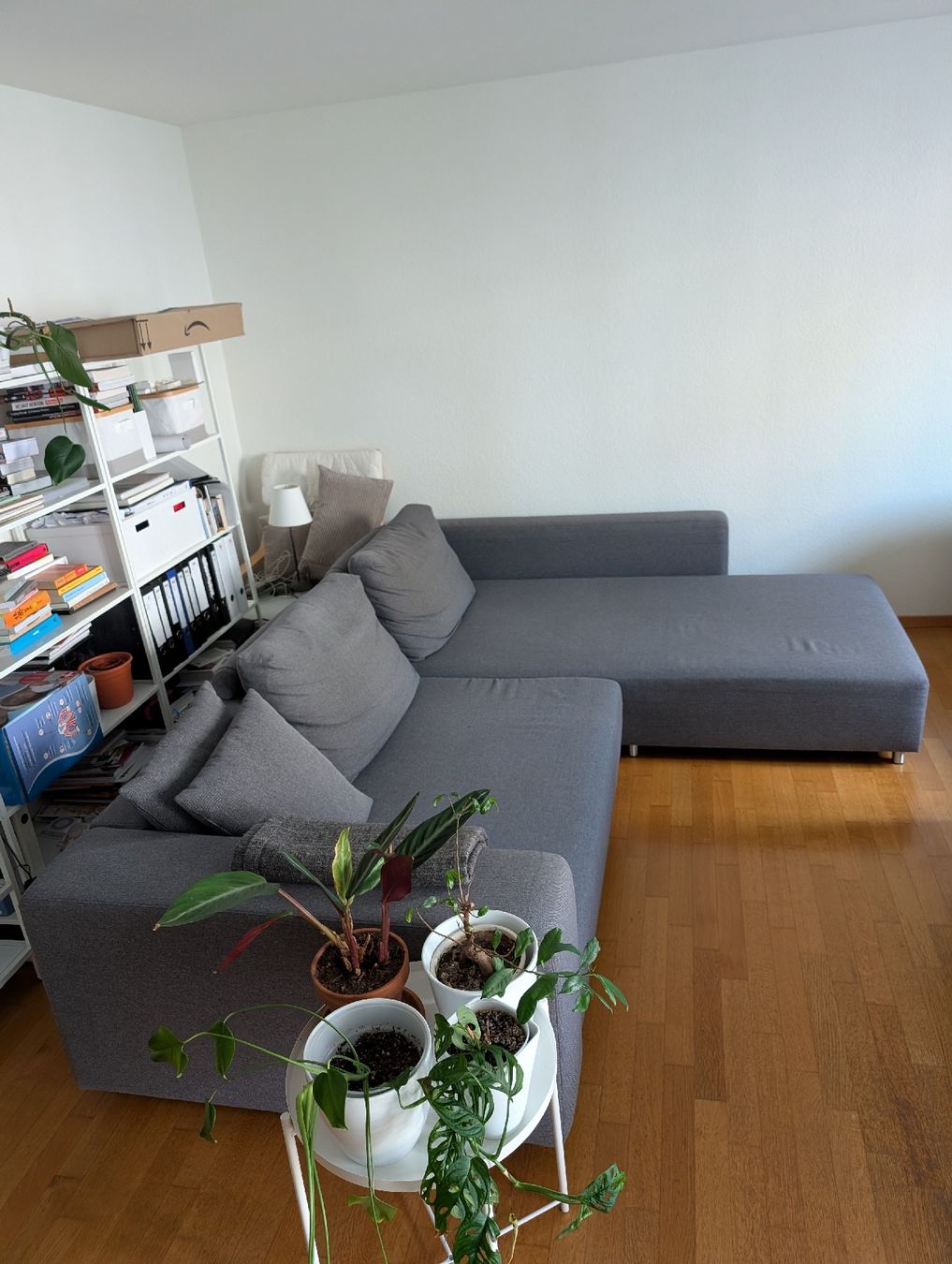 Ikea Divani: Sofa – Usato da Zürich venduto da val_d6wd 1