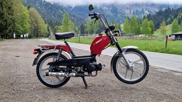 Pony GTX in Top-Zustand