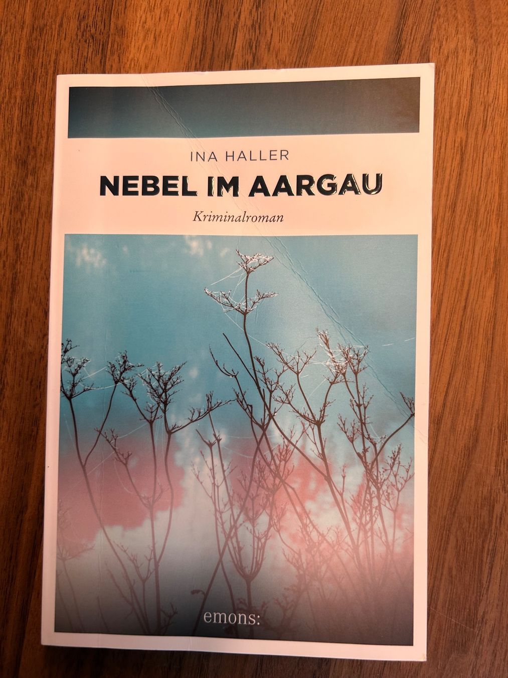 Libri: Ina Haller - Nebel im Aargau – Usato da Safenwil venduto da 2hand_aber_wertvoll