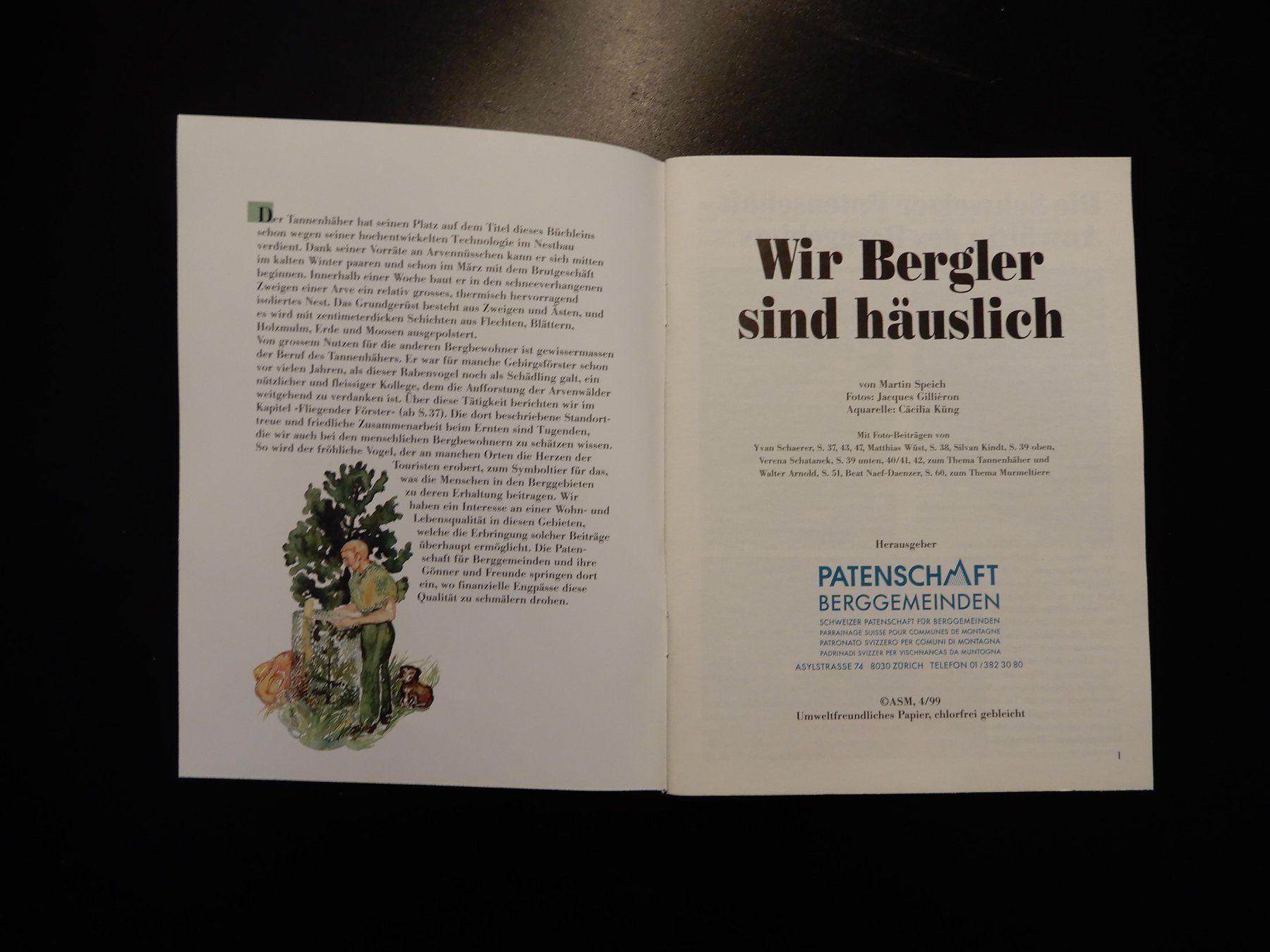 Libri: Wir Bergler sind häuslich - Buch – Usato da Erstfeld venduto da Mario_boe0 1