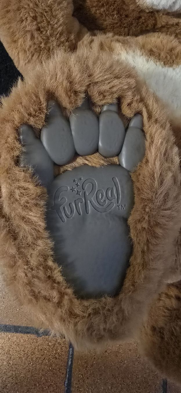 FurReal Spielzeuge: FurReal Cubby Bär – Gebraucht aus Basel von Nerea07 2
