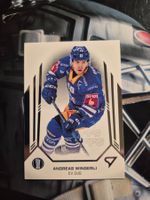 Andreas Wingerli EV Zug Sportzoo 2024/25