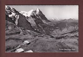 GROSSE SCHEIDEGG - Eiger