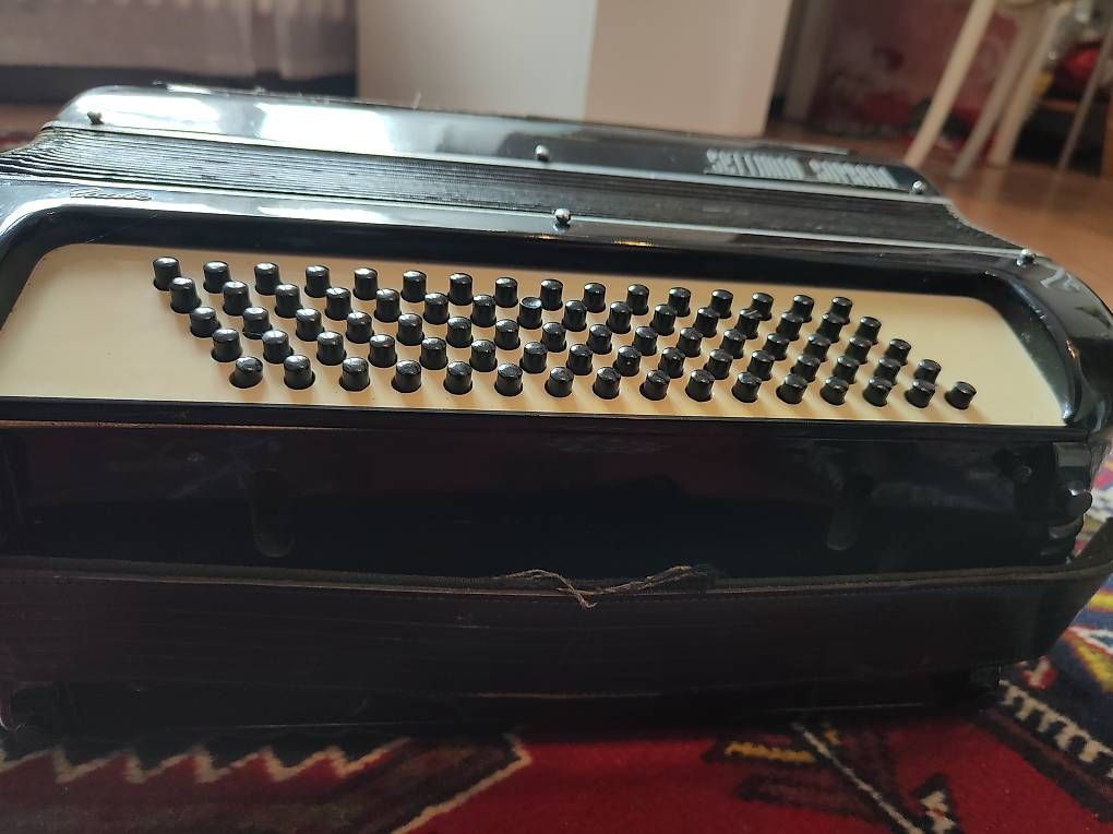 Strumenti musicali: Fisarmonica Settimio Soprani – Usato da Massagno venduto da Massimo037 1