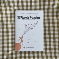 Il piccolo principe 