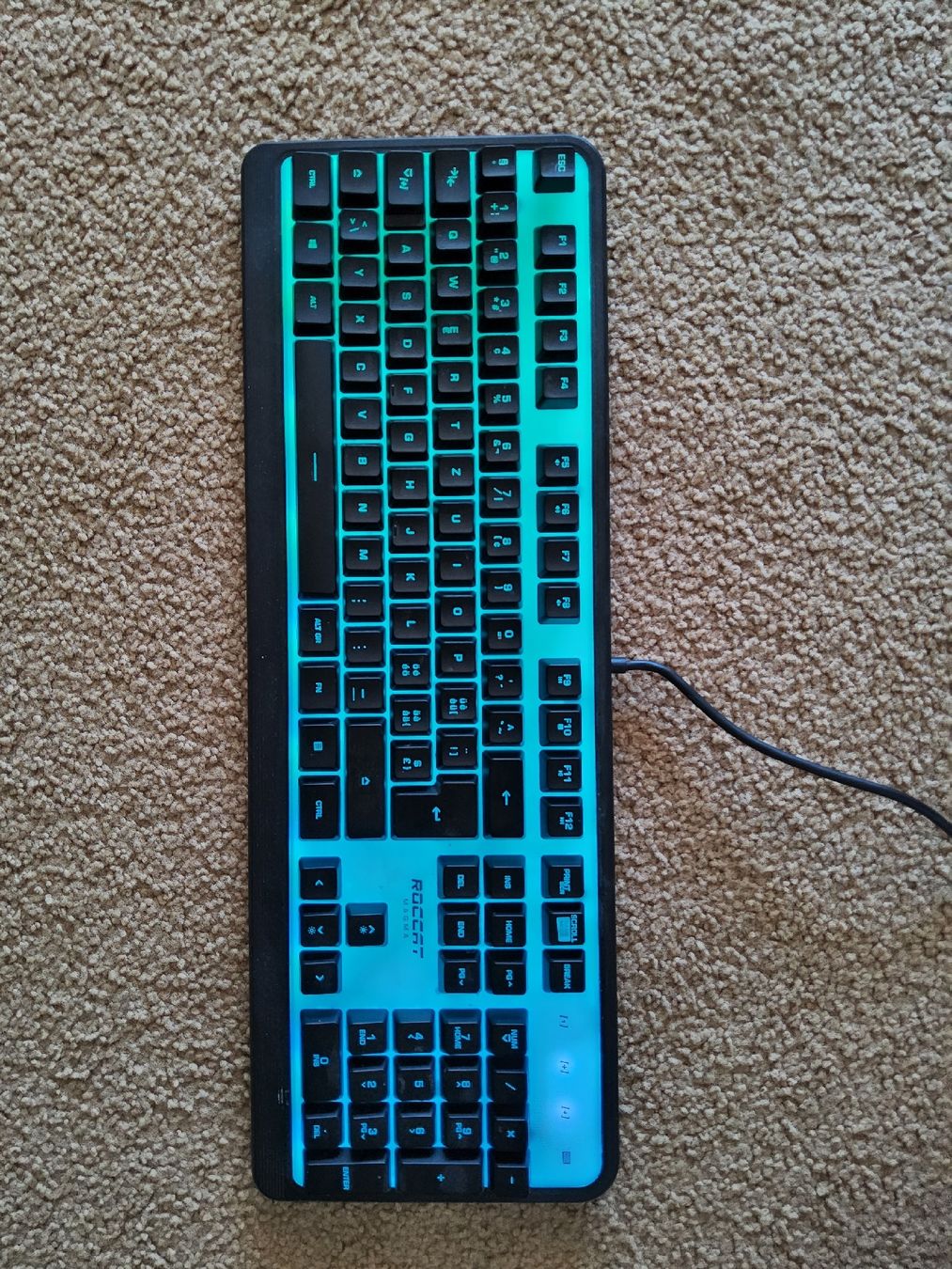 Roccat Tastiere: Membran Tastatur – Usato da Niederbipp venduto da donaldo11 3