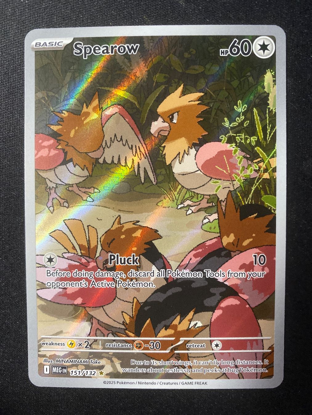 Pokémon Carte collezionabili: Spearow 151 - Habitak - Illustr. Rare - Mega Evolution - EN – Nuovo (secondo la descrizione) da Hausen AG venduto da Shrade