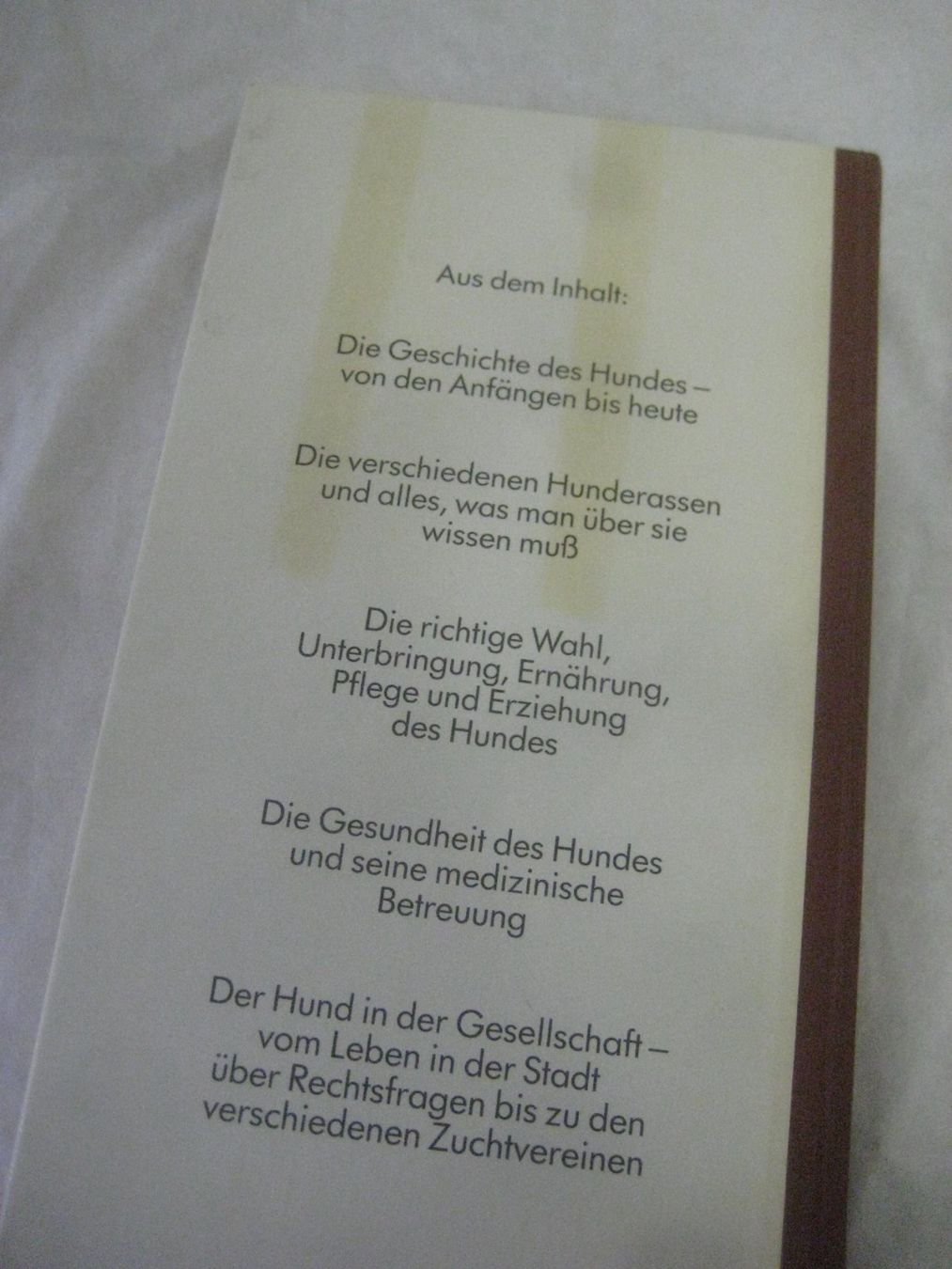 Bücher: HUNDE  BUCH – Gebraucht aus Uster von flocke1 6