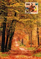 Maximumkarte Jahreszeiten - Herbst, Herbstwald