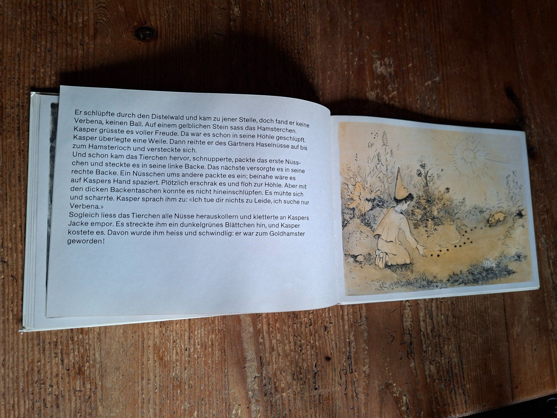 Libri: Therese Keller - Der Goldapfelhamster, Kinderbuch, – Nuovo (secondo la descrizione) da Otelfingen venduto da silver-moon 3