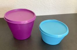 Tupperware Vorratsbehälter lila und blau guter Zustand