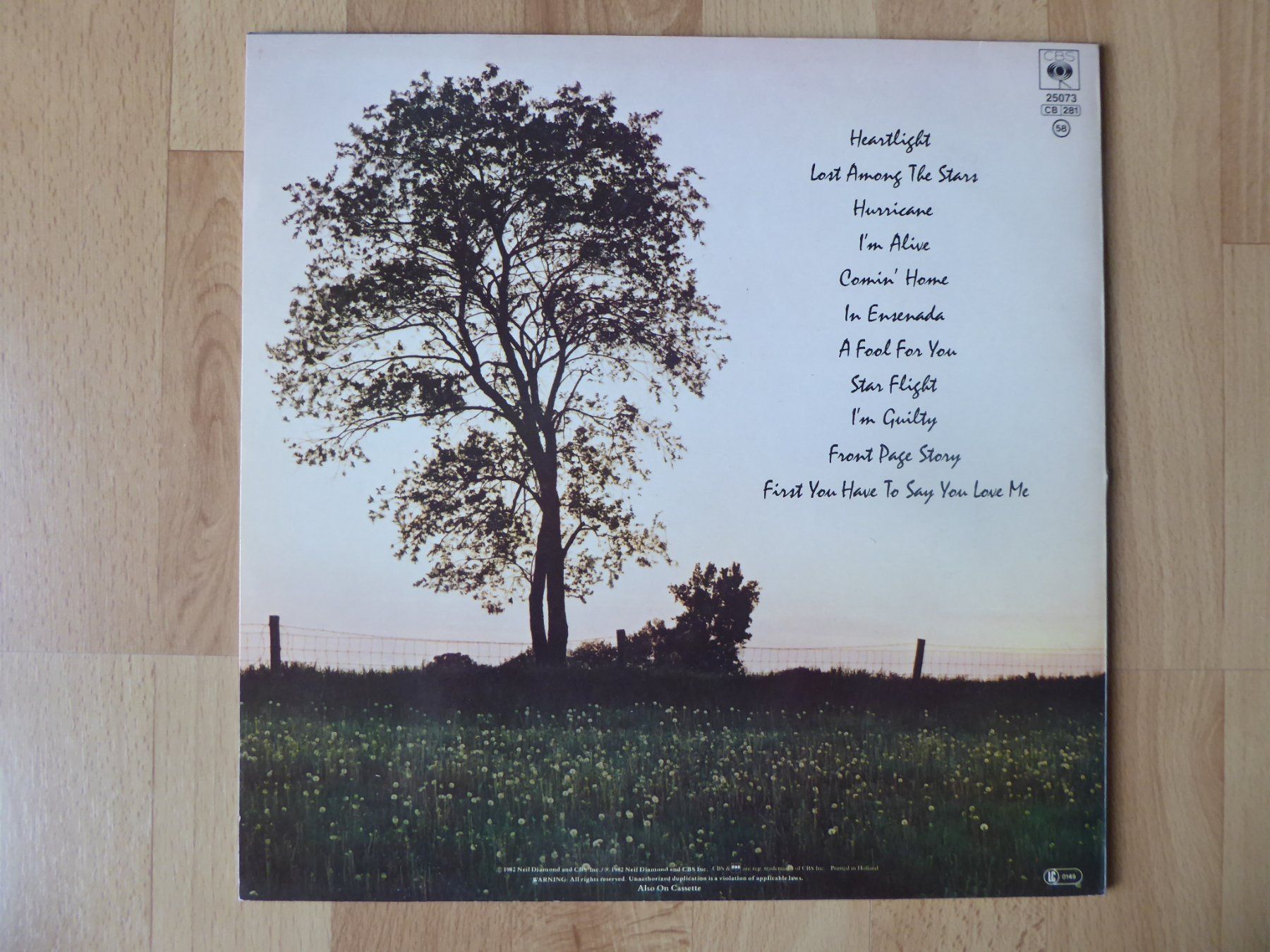 Dischi in vinile: Neil Diamond - Heartlight – Usato da Aeugst am Albis venduto da Drayprescot 1