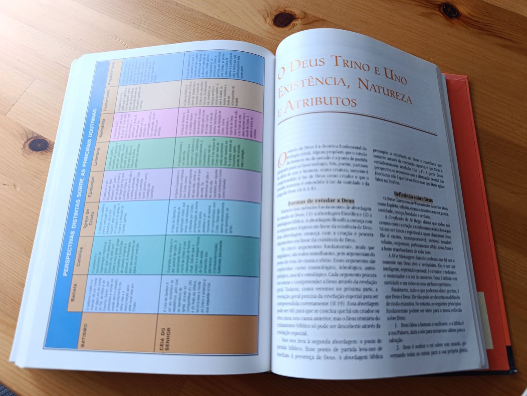 Libri: Manual Biblico Vida Nova – Usato da Prangins venduto da Timband 7