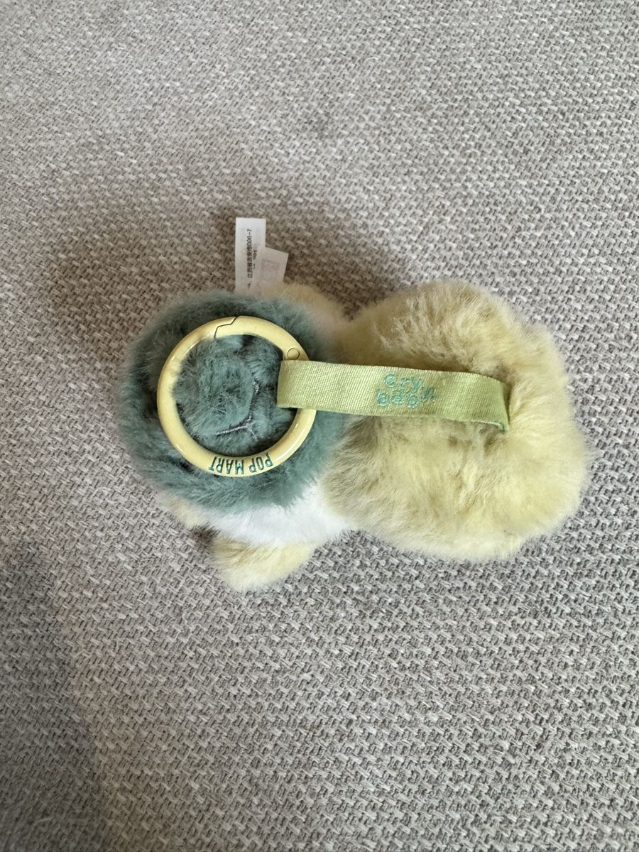 Schlüsselanhänger & - bänder: Crybaby Turtle – Gebraucht aus Zürich von MHW23 2