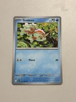 Pokemon Goldini #013/084 EN