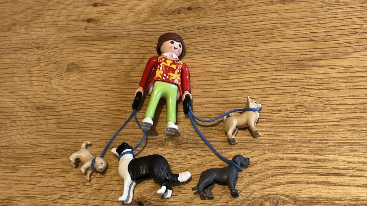 Playmobil Giocattoli: Playmobil 5380 Special Plus – Usato da Fleurier venduto da Carolina_11