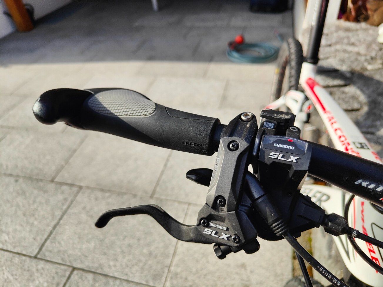 Wheeler Biciclette: Wheeler - Falcon 20, Fully - Carbon – Usato da Maur venduto da Edsch 4