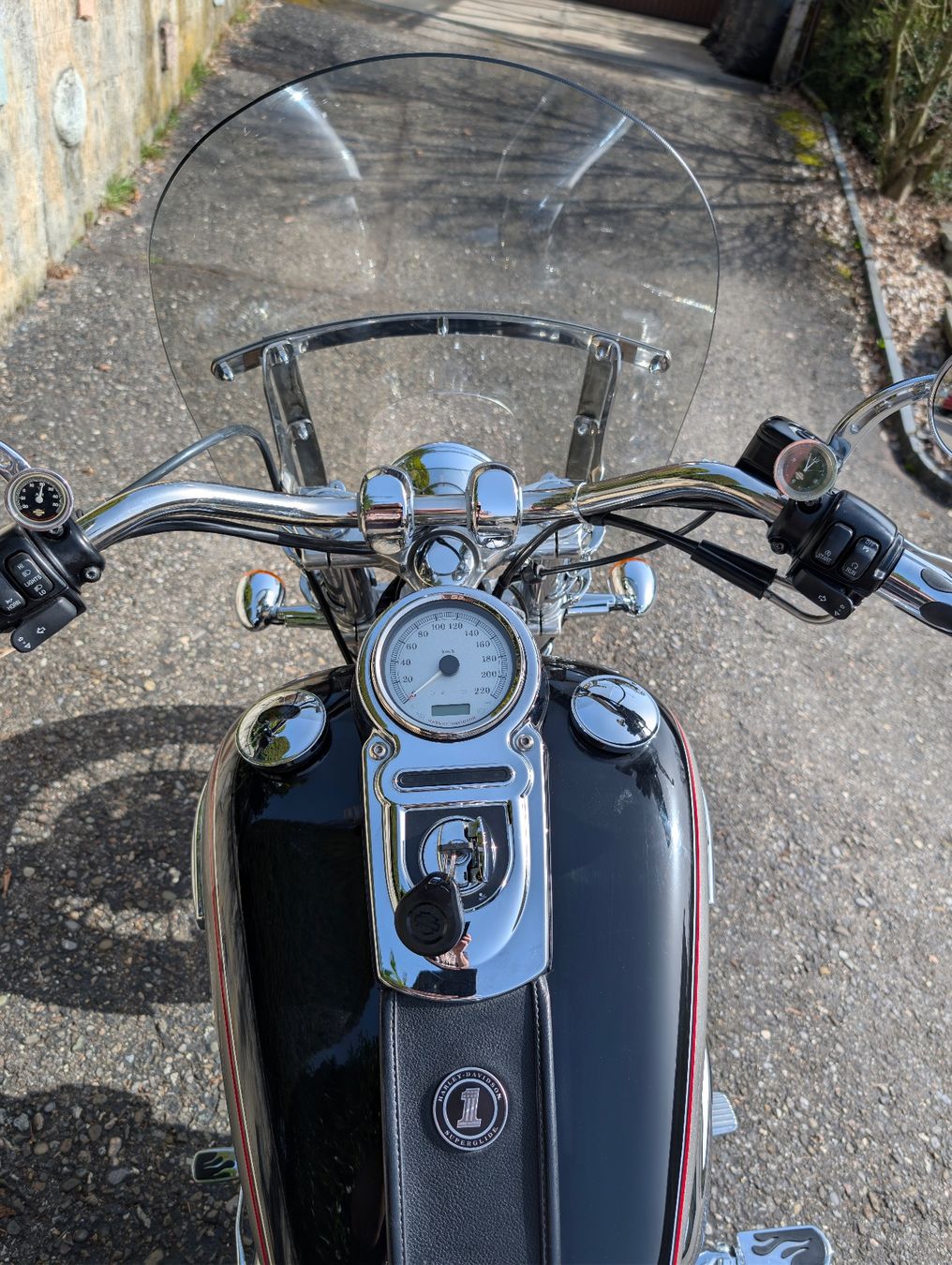 Harley-Davidson Chopper: Harley Davidson Dyna Super Glide Custom – Usato da Tegerfelden venduto da Kingsize 6