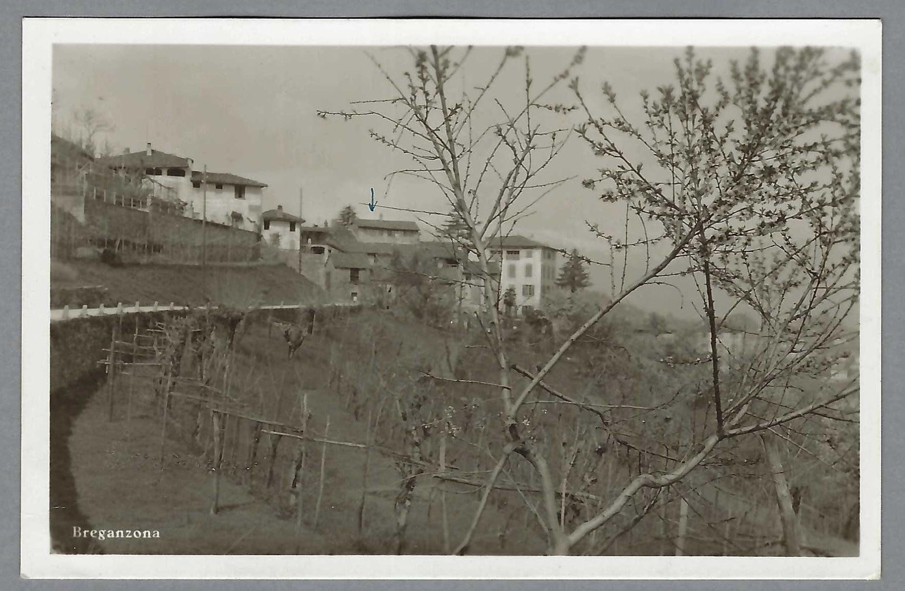 Ansichtskarten: 1949, BREGANZONA, DETTAGLIO – Gebraucht aus Pura von ulisse1957