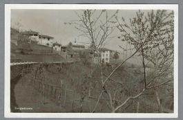 1949, BREGANZONA, DETTAGLIO