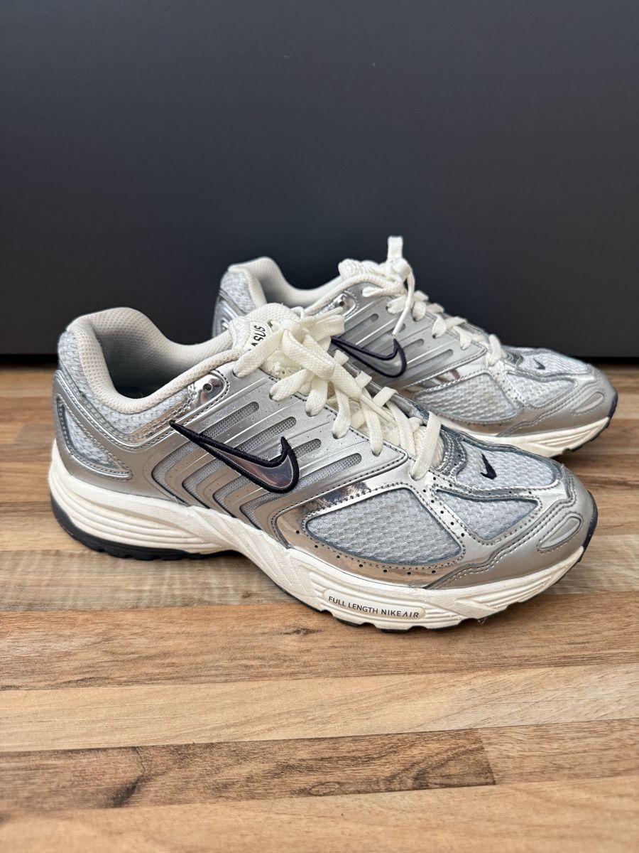 Nike Herrenschuhe: Nike Air Pegasus 2005 – Gebraucht aus Buchs AG von MiWeFe17 1