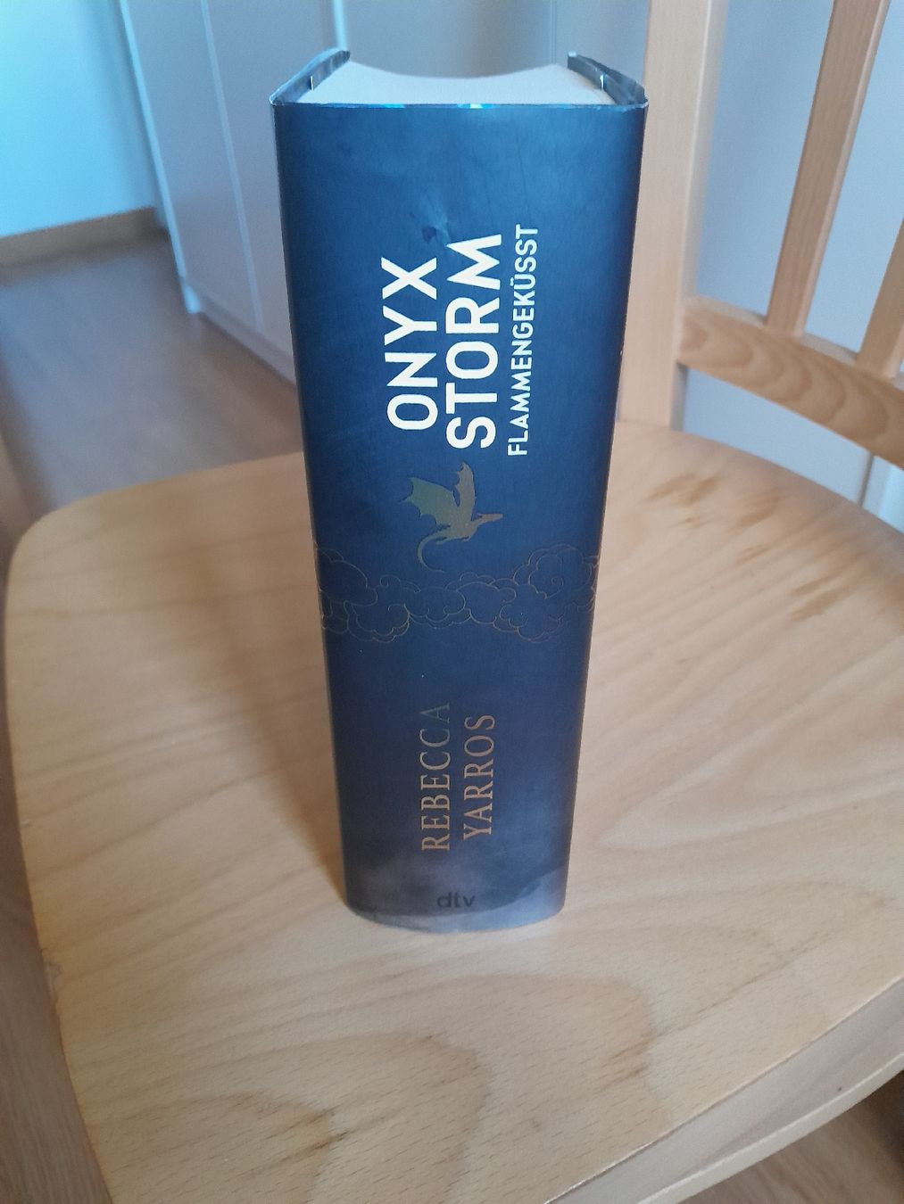 Bücher: Onyx Storm Flammengeküsst – Gebraucht aus Alterswil FR von jas_cp68 1