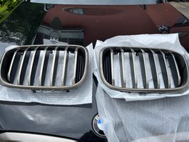 BMW X3 Kühlergrill