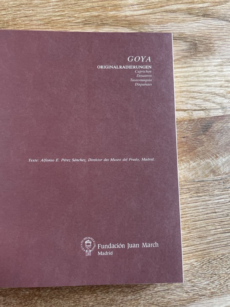 Libri: Goya, Originalradierungen – Usato da Freidorf TG venduto da ibipatria 1