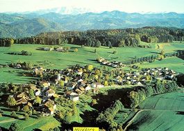 WILDBERG ZH Flugaufnahme