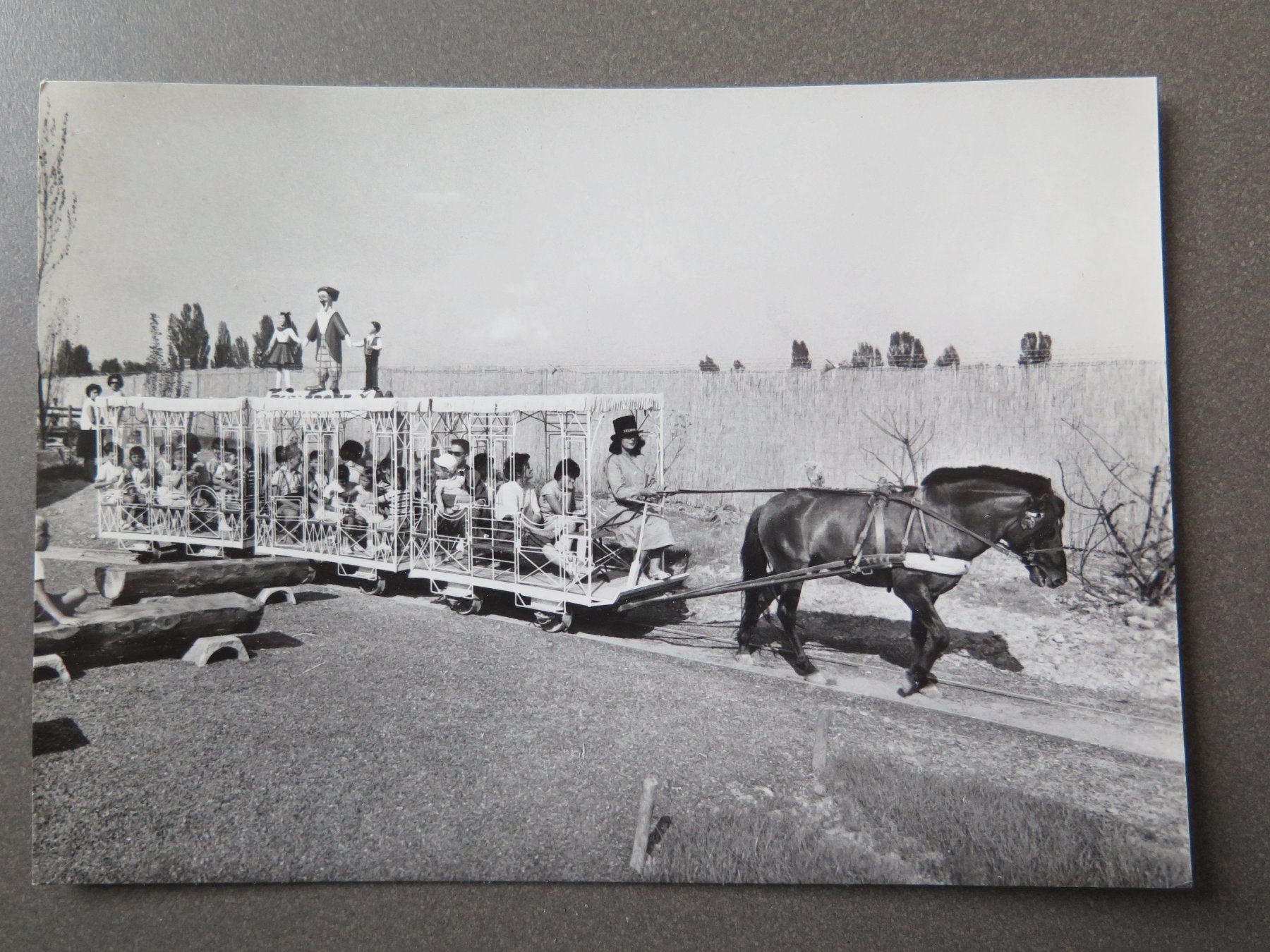 Cartoline postali: RAPPERSWIL - PONY-TRAM - KINDERZOO – Usato da Wittenbach venduto da lipasal