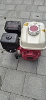 Honda Gartengerät Motor