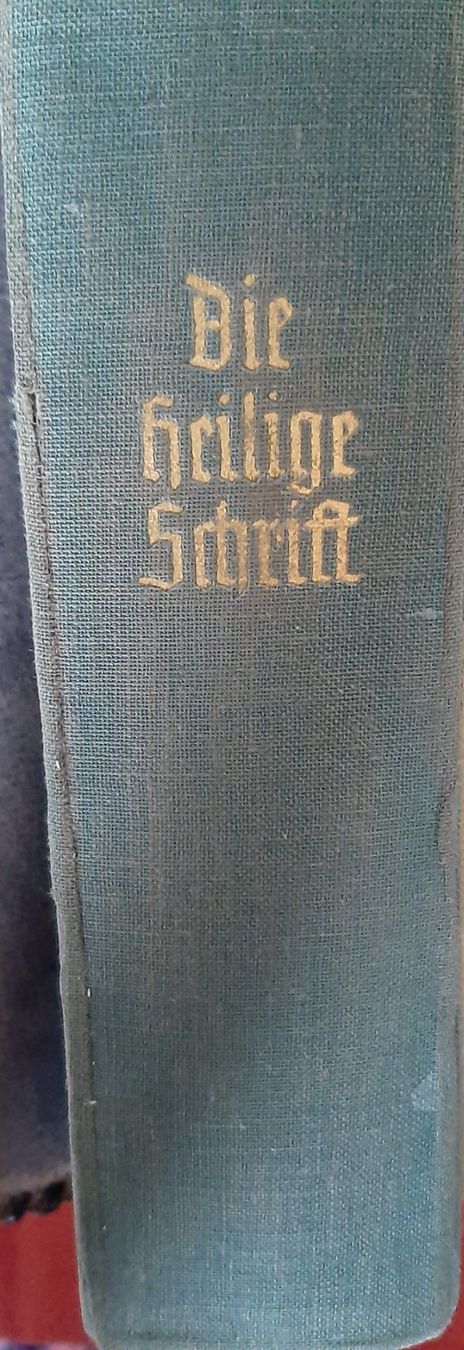 Libri: Bibel Meiringen – Usato da Zürich venduto da Zurich 1