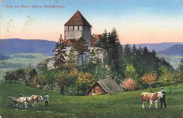 stein am Rhein schloss hohenklingen