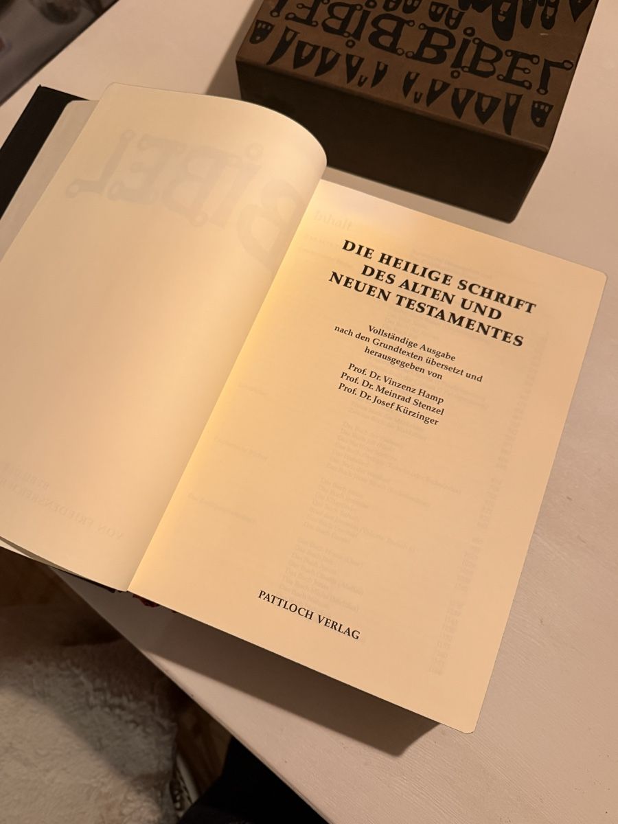 Libri: Bibel Hundertwasser 1995 – Usato da Lobsigen venduto da Ailujailuj 2