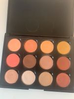 Colourpop Shadow‘s Ladenpreis 69$ ink.Palette