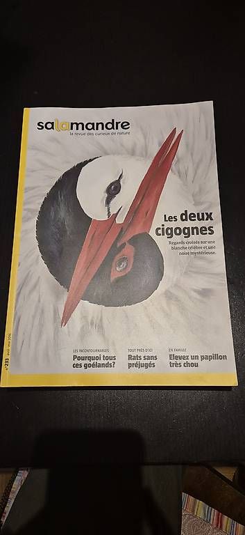Riviste & Magazine: La Salamandre 6 n° – Usato da Lausanne venduto da angelalone 4