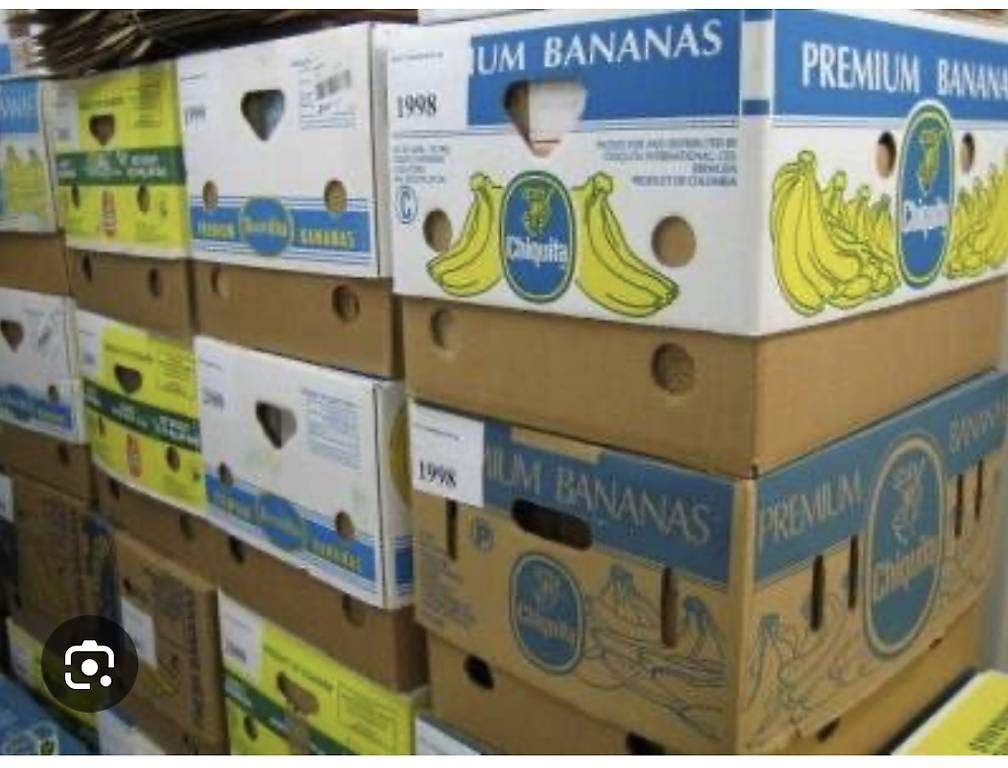 Cartoni: Bananenschachteln Gratis – Usato da Sirnach venduto da toni2718