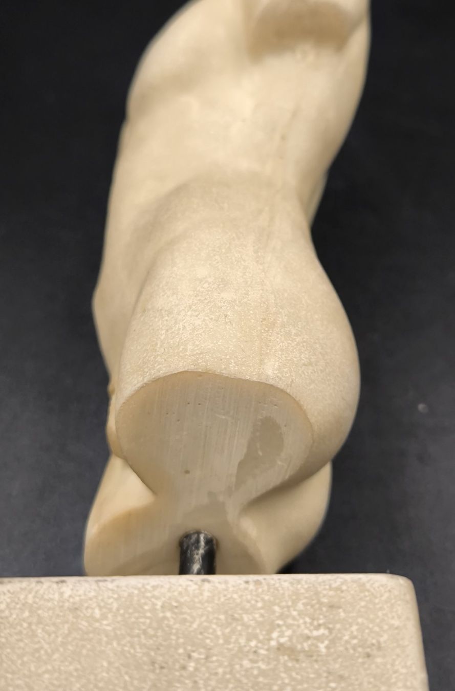 Skulpturen & Statuen: Männertorso – Gebraucht aus Rorschacherberg von snOOpydOg11 4