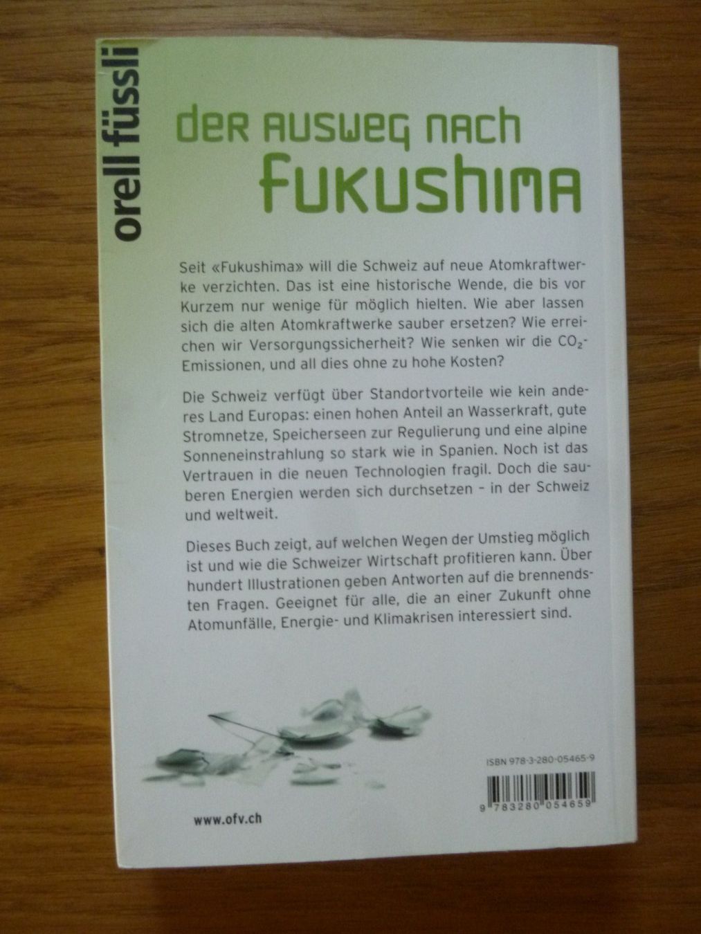 Libri: Buch "100 Prozent erneuerbar" – Usato da Sarnen venduto da Ver01dg 1