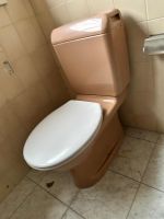 Stand WC - Laufen