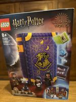 LEGO Harry Potter 76396 Hogwarts  Class