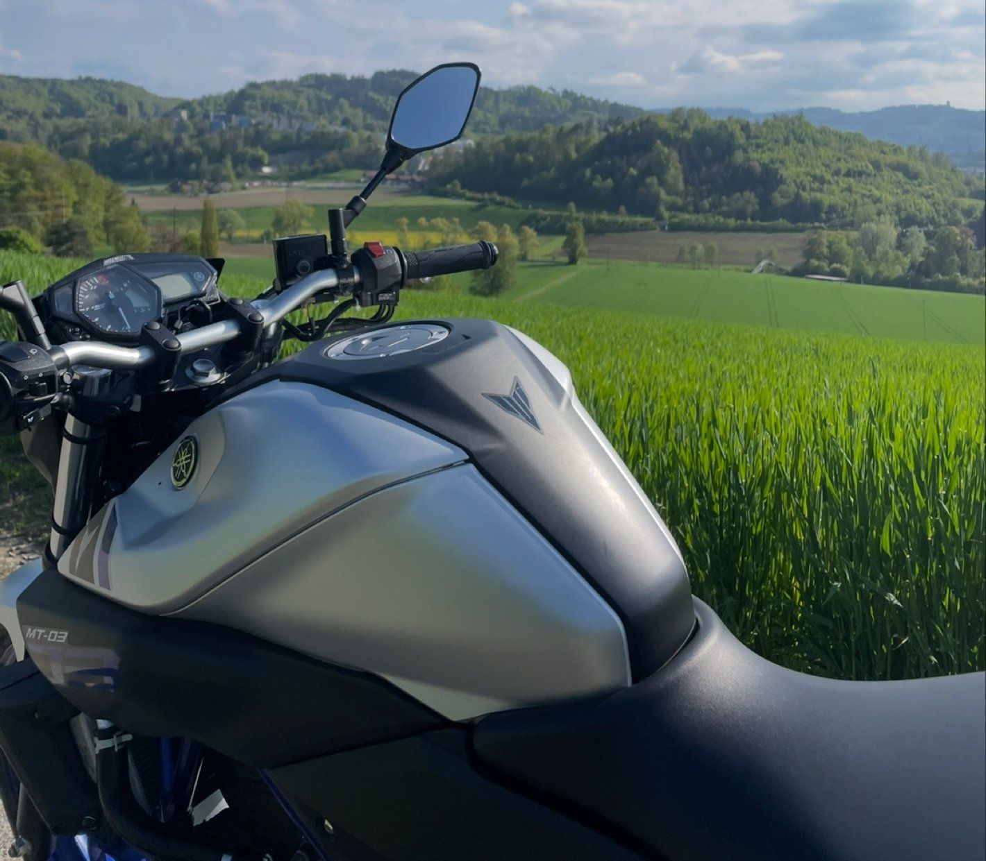 Yamaha Strada: Yamaha MT-03 – Usato da Stettlen venduto da joelle_001 3