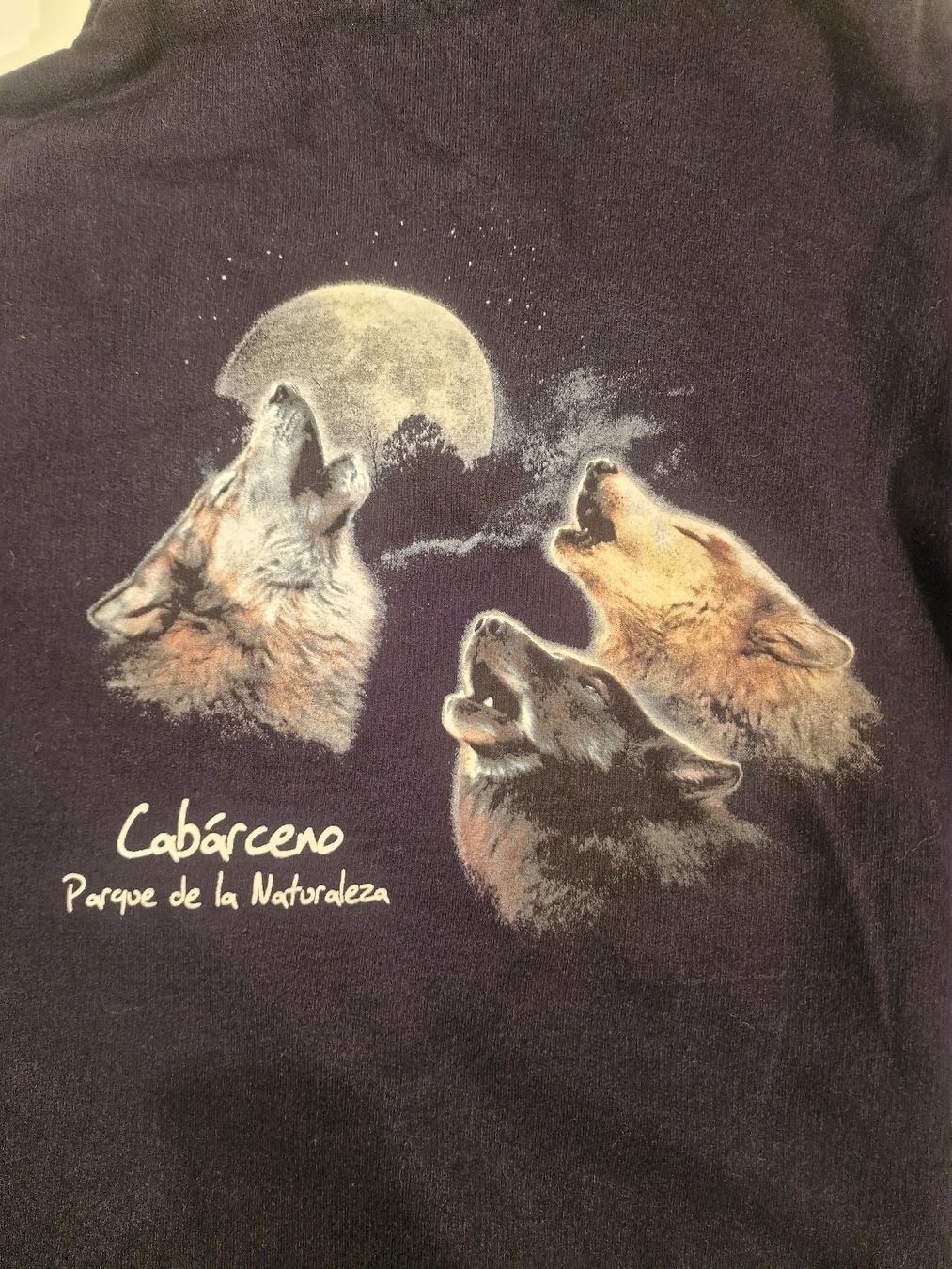 Maglioni & Felpe: Warmer Pullover mit Wolf, Grösse 158 – Usato da St. Margrethen SG venduto da Goldig
