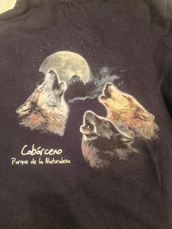 Warmer Pullover mit Wolf, Grösse 158
