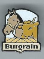 Burggrain Pferd Kuh, Pin