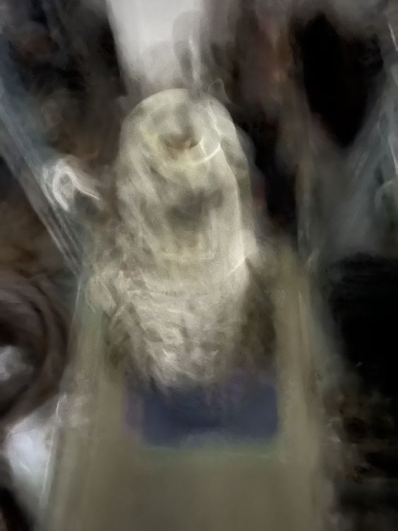Placeholder Image
