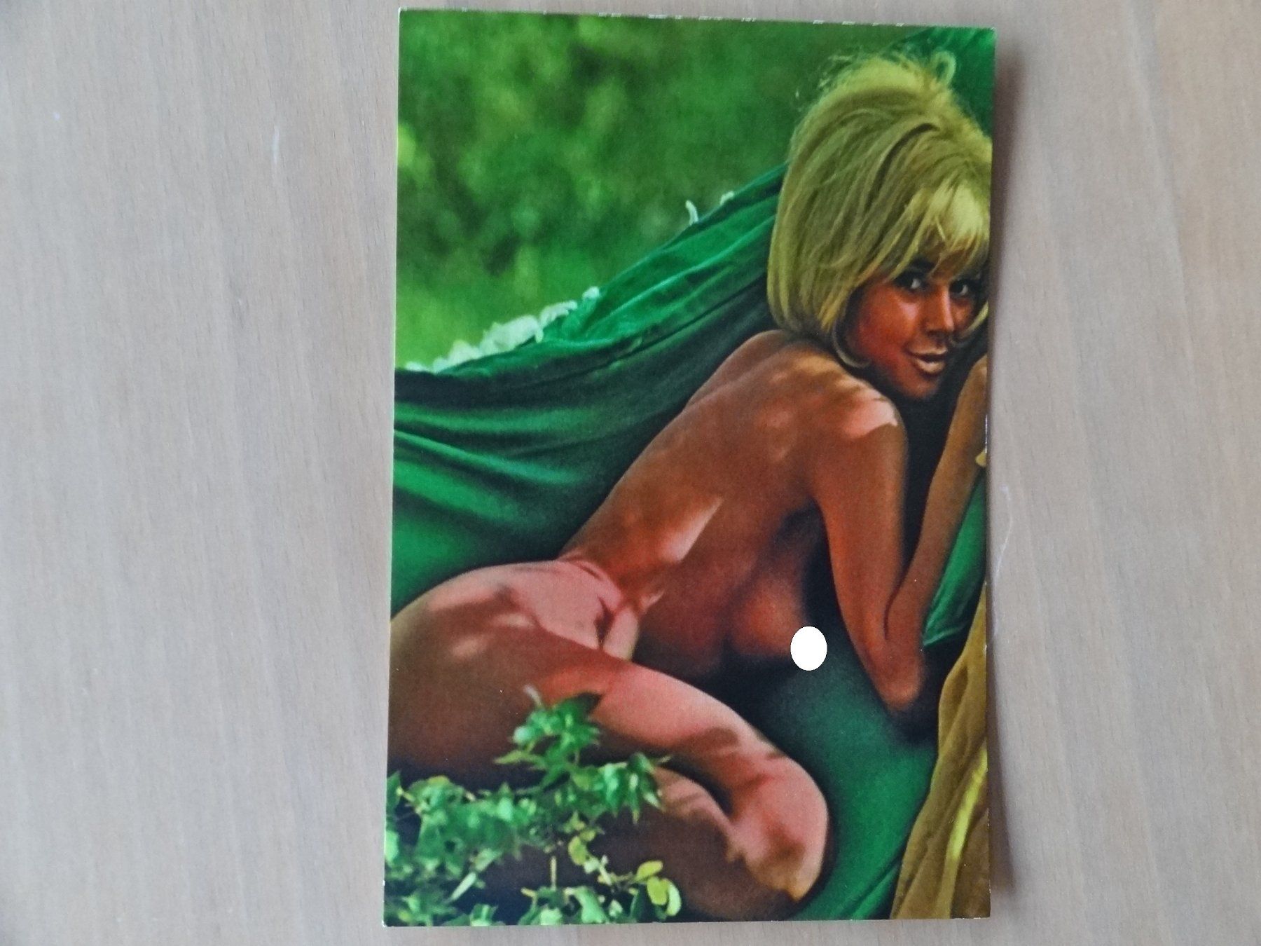 Cartoline postali: Erotik - AK - Pin-Up Charme - 04162 – Usato da St Léonard venduto da Riglin